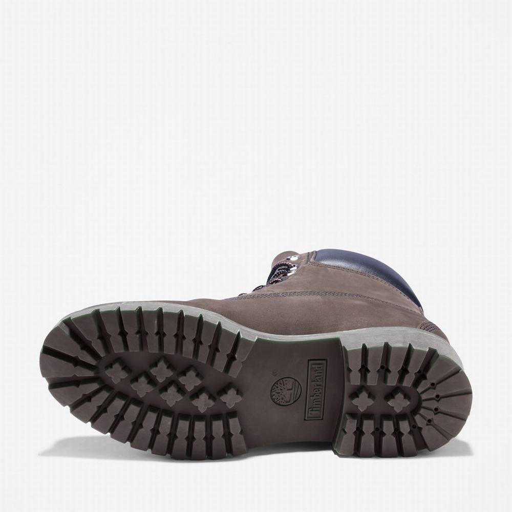 Pánské Zimní Boty Timberland Premium 6 Inch Hnědé | TI43689-903
