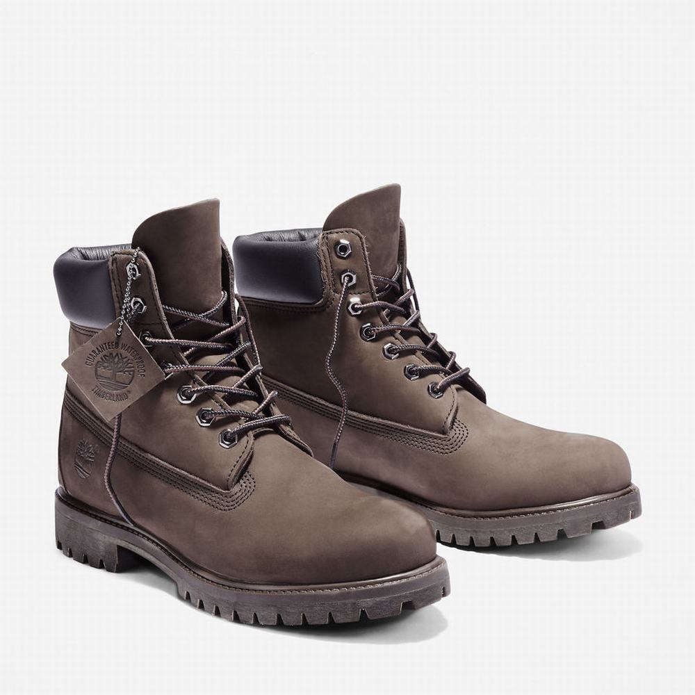 Pánské Zimní Boty Timberland Premium 6 Inch Hnědé | TI43689-903