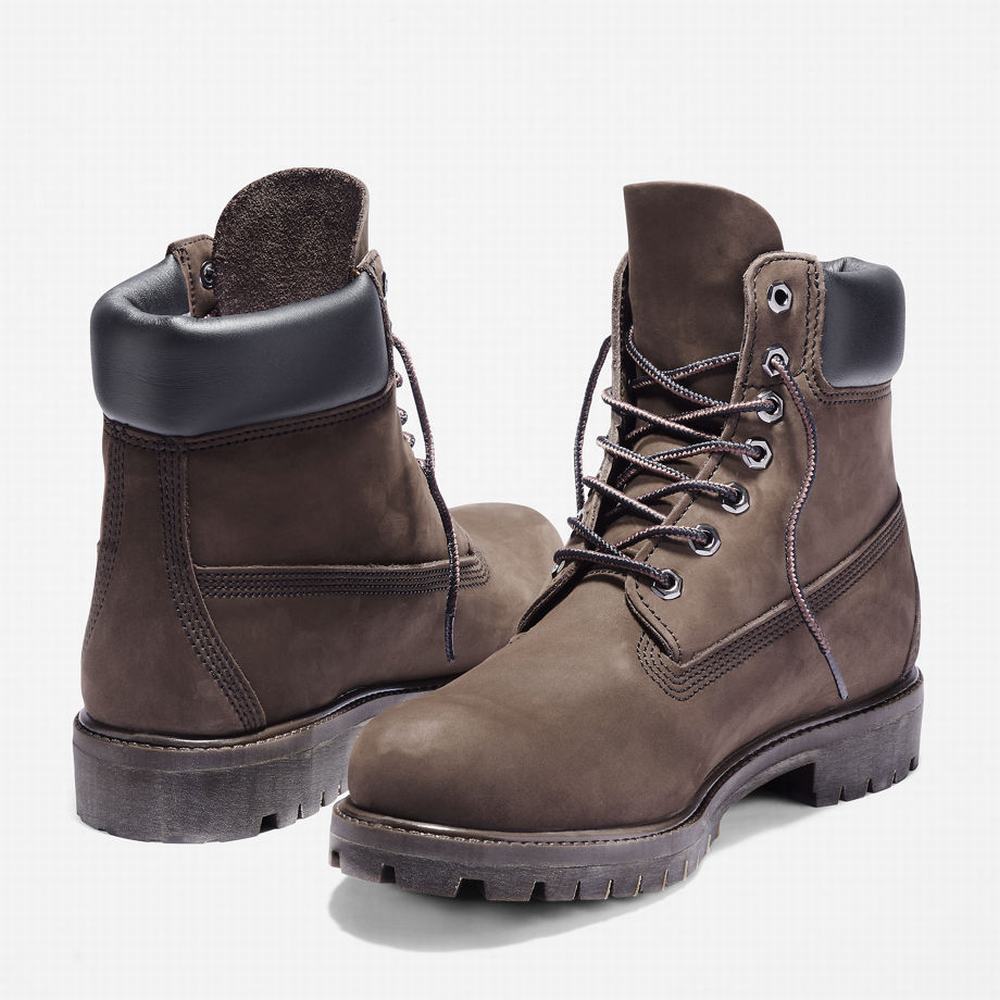 Pánské Zimní Boty Timberland Premium 6 Inch Hnědé | TI43689-903