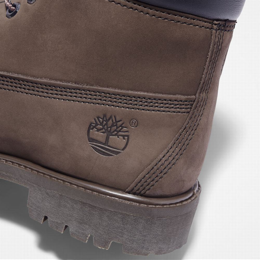 Pánské Zimní Boty Timberland Premium 6 Inch Hnědé | TI43689-903