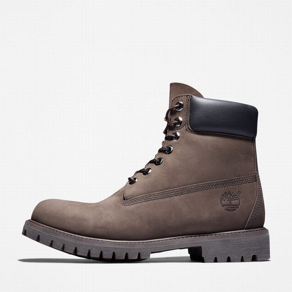 Pánské Zimní Boty Timberland Premium 6 Inch Hnědé | TI43689-903