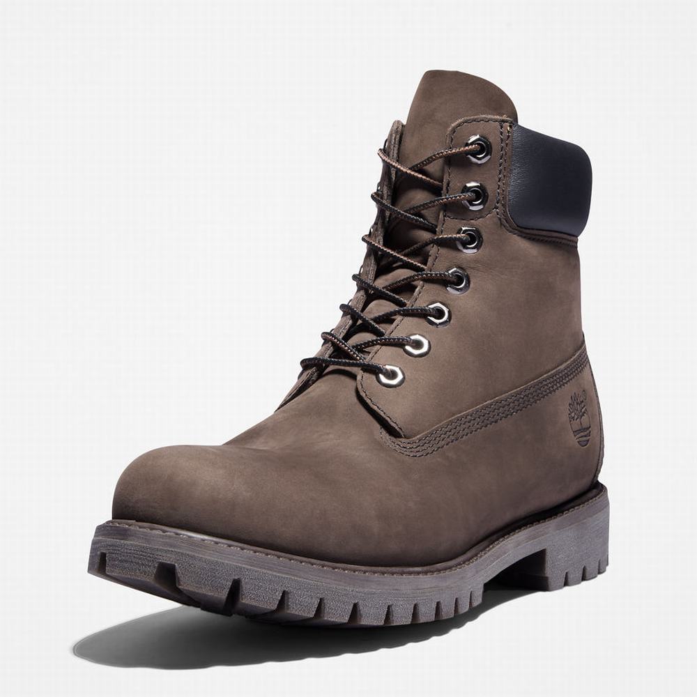 Pánské Zimní Boty Timberland Premium 6 Inch Hnědé | TI43689-903