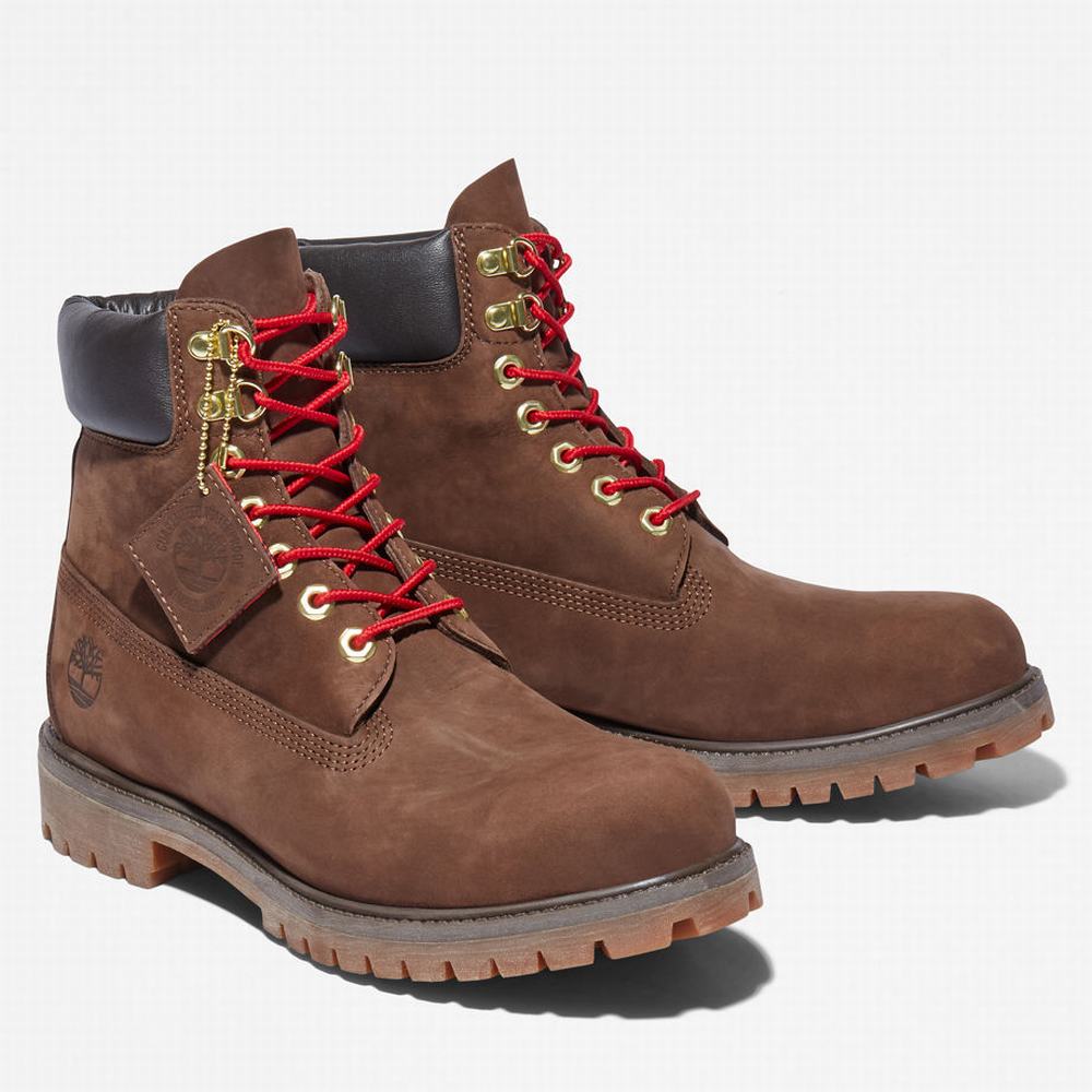 Pánské Zimní Boty Timberland Premium 6 Inch Lux Leather Hnědé | TI75826-281