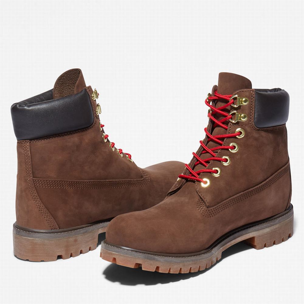 Pánské Zimní Boty Timberland Premium 6 Inch Lux Leather Hnědé | TI75826-281