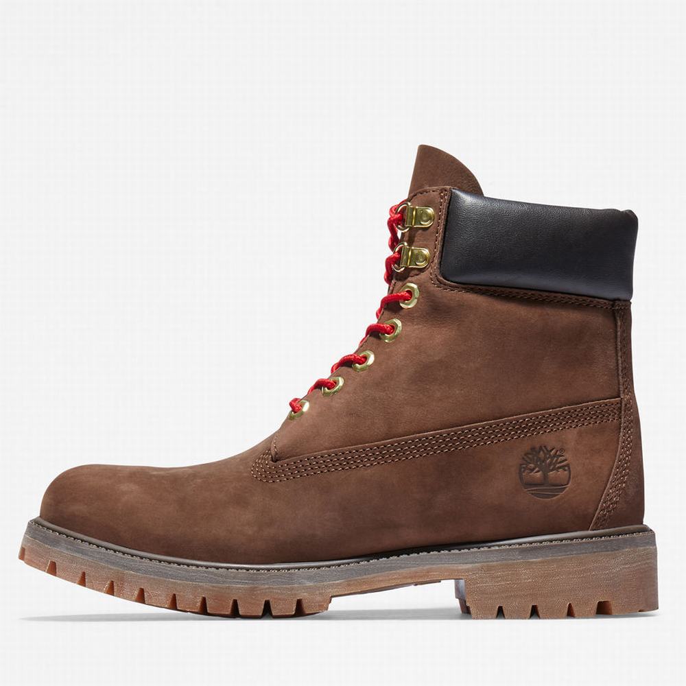 Pánské Zimní Boty Timberland Premium 6 Inch Lux Leather Hnědé | TI75826-281