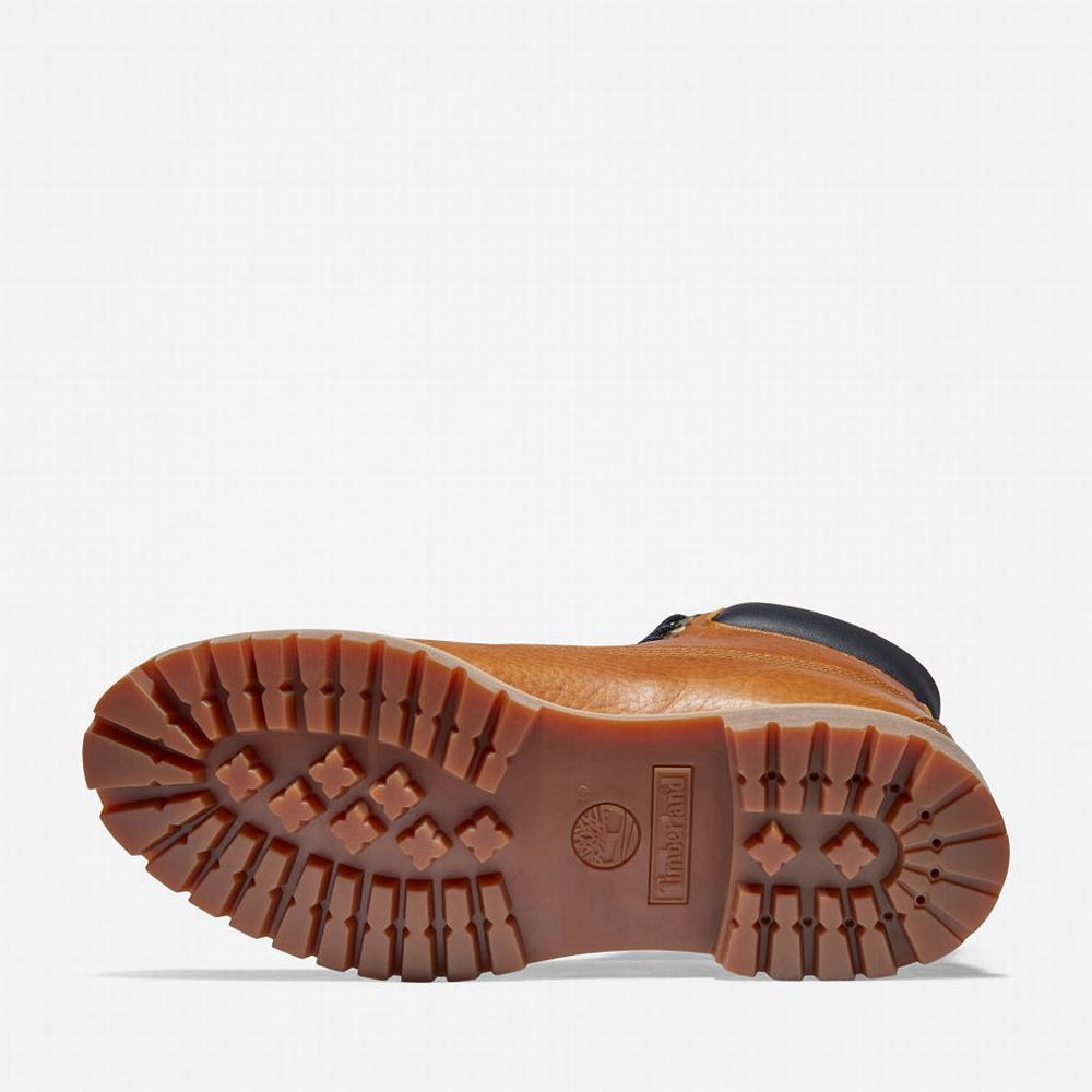 Pánské Zimní Boty Timberland Premium Extra Warm 6 Inch Žluté | TI64279-419