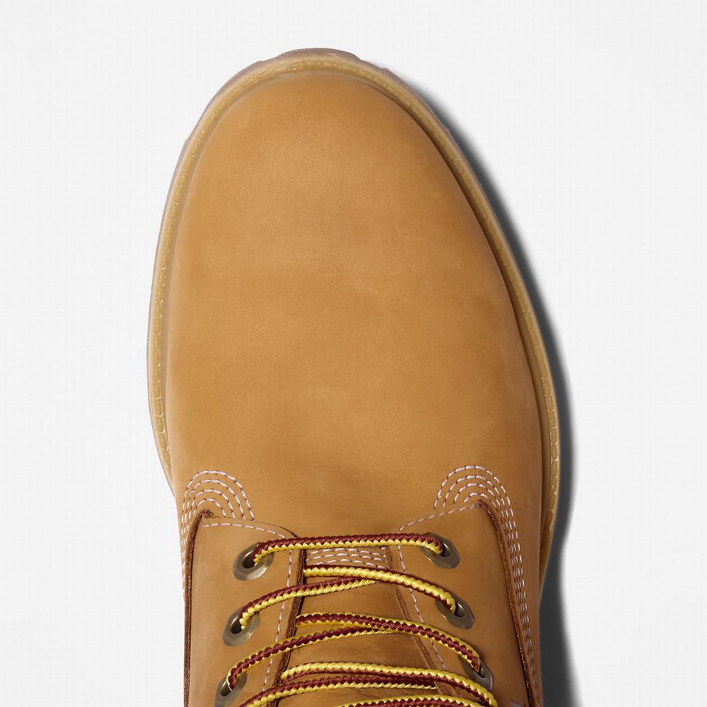 Pánské Zimní Boty Timberland Premium Logo 6 Inch Žluté | TI31287-754