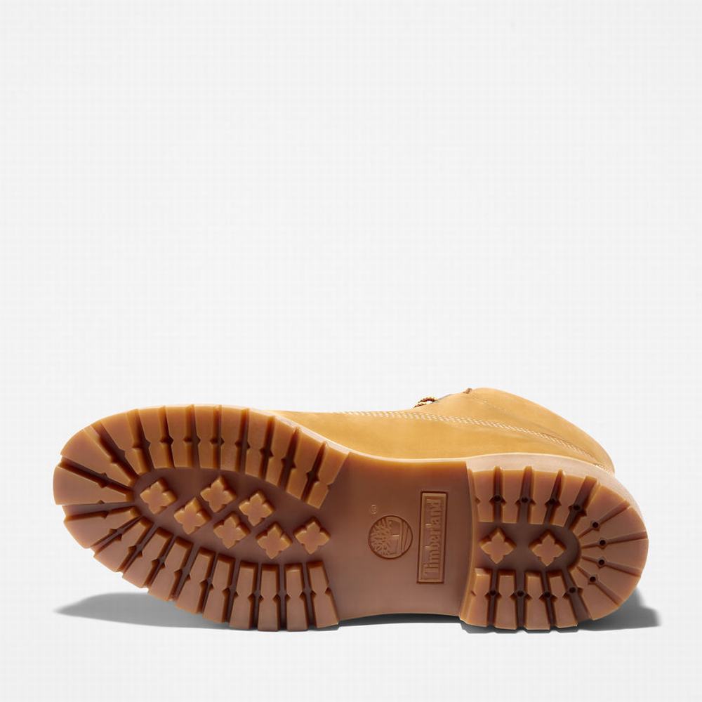 Pánské Zimní Boty Timberland Premium Logo 6 Inch Žluté | TI31287-754
