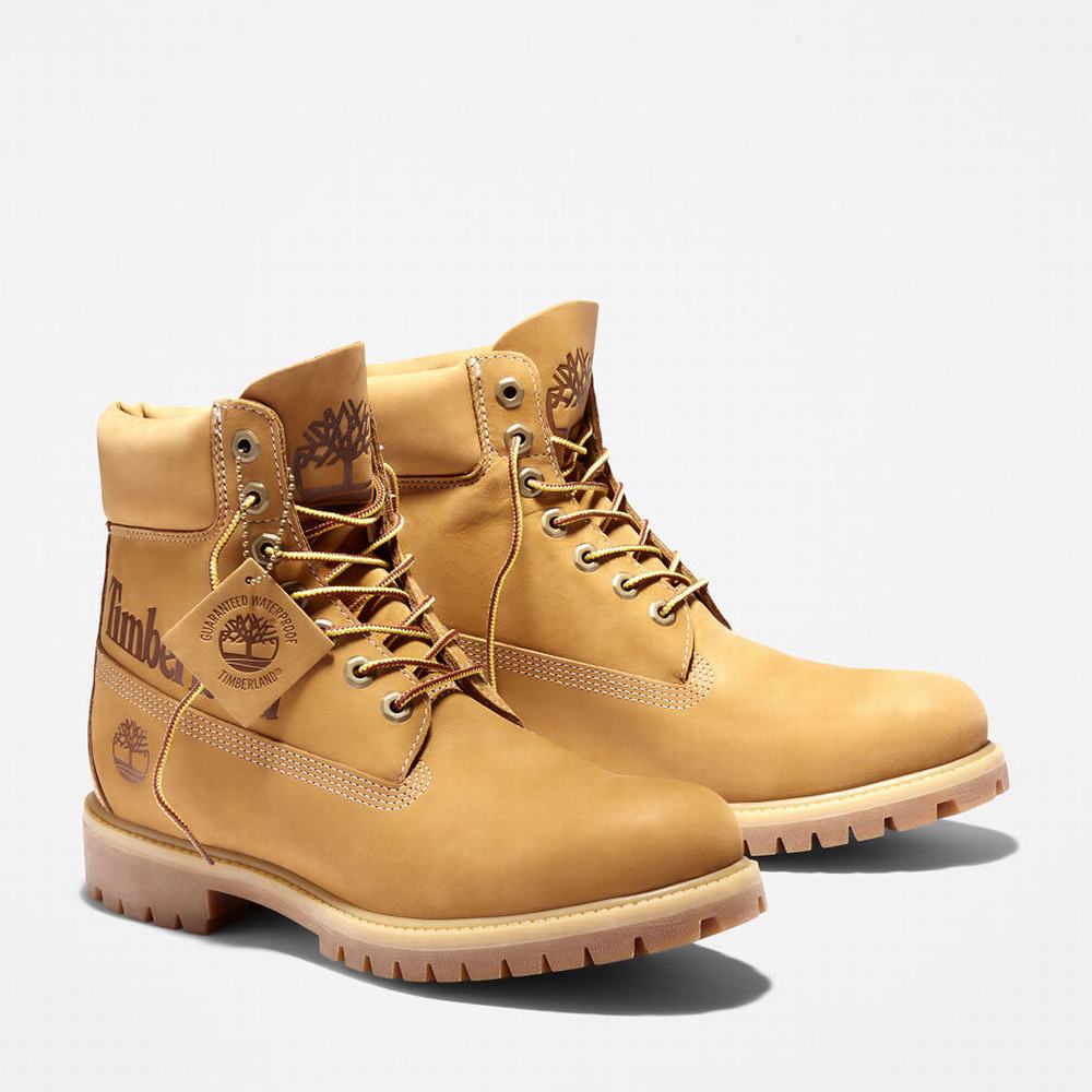 Pánské Zimní Boty Timberland Premium Logo 6 Inch Žluté | TI31287-754