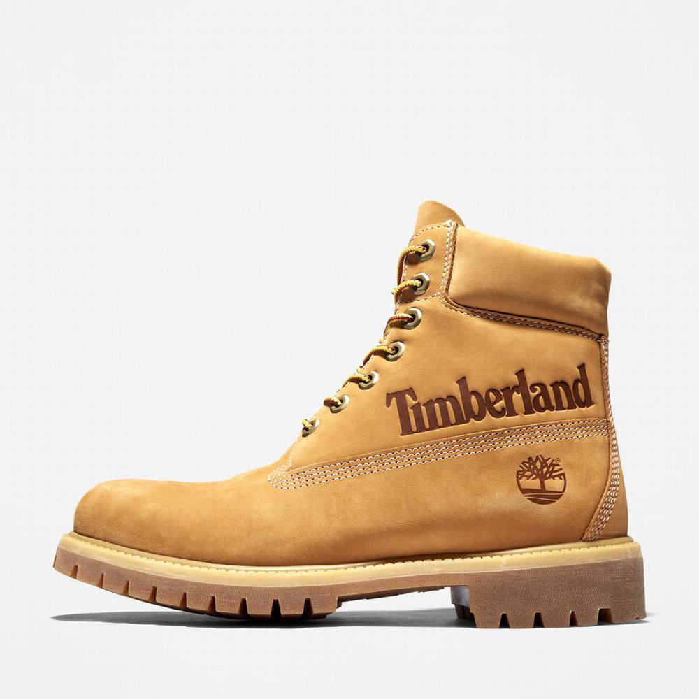 Pánské Zimní Boty Timberland Premium Logo 6 Inch Žluté | TI31287-754