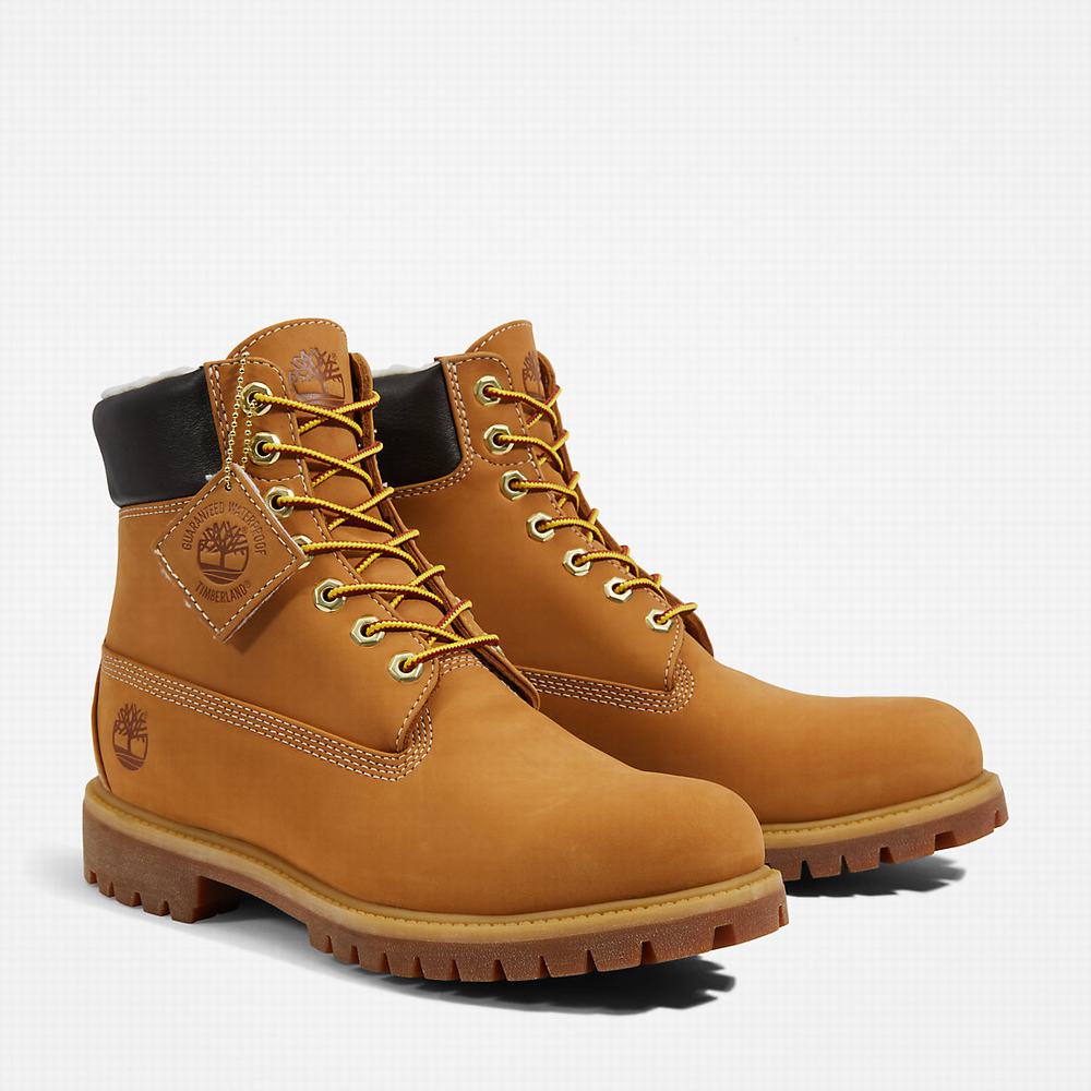 Pánské Zimní Boty Timberland Premium Warm-lined 6 Inch Žluté | TI98173-025