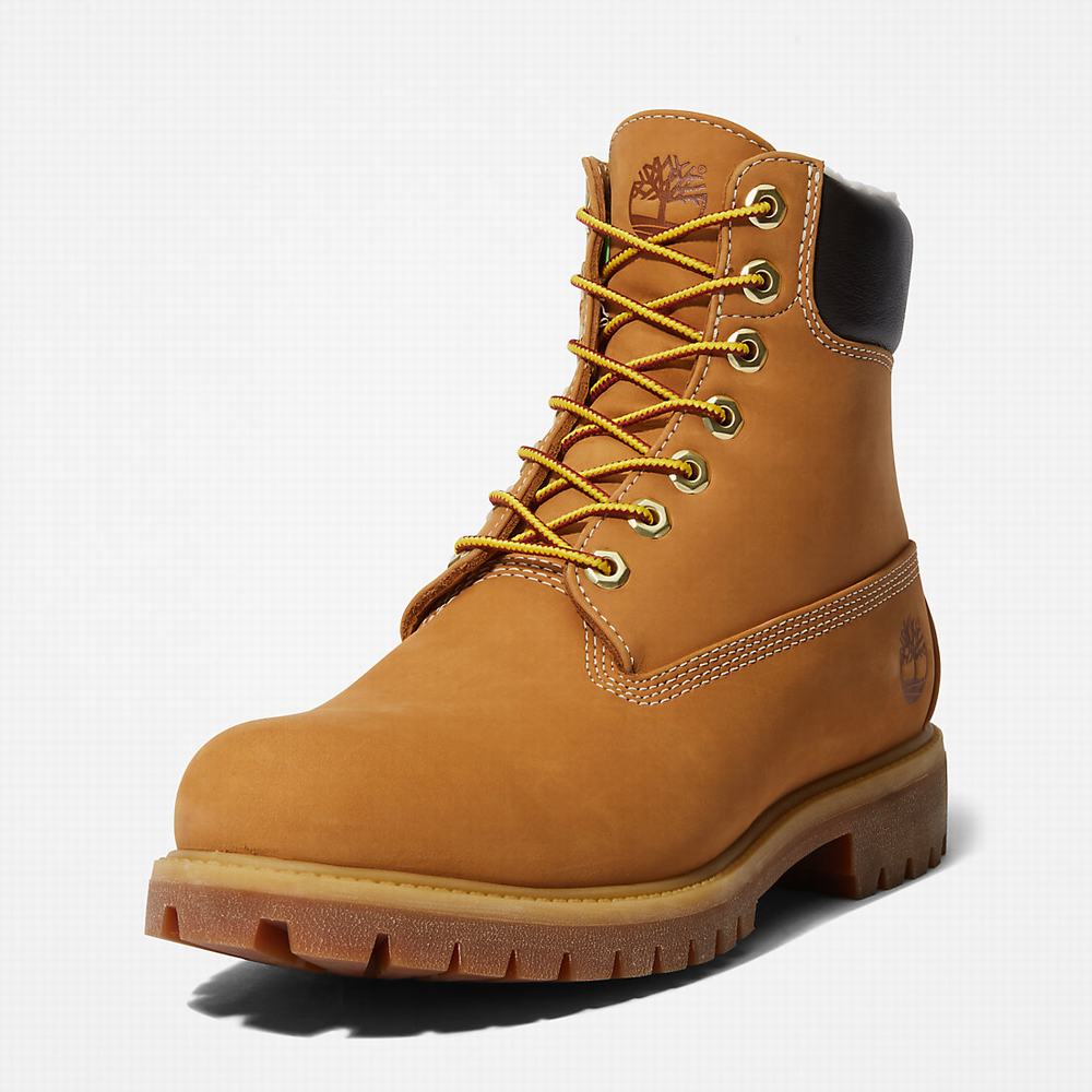 Pánské Zimní Boty Timberland Premium Warm-lined 6 Inch Žluté | TI98173-025