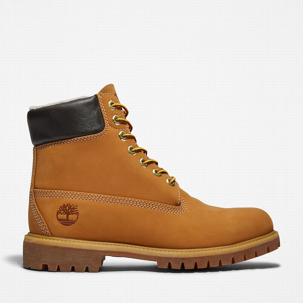 Pánské Zimní Boty Timberland Premium Warm-lined 6 Inch Žluté | TI98173-025