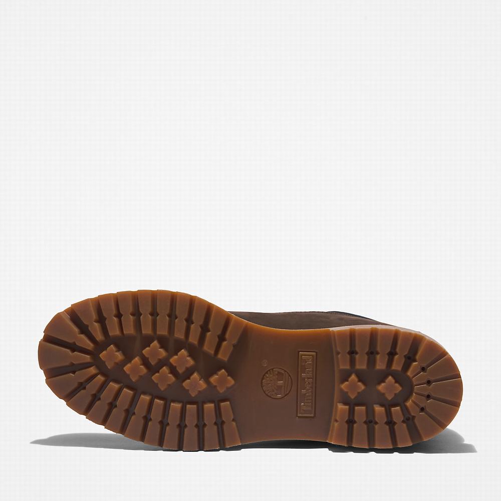 Pánské Zimní Boty Timberland Premium® 6 Inch Tmavě Hnědé | TI02389-869