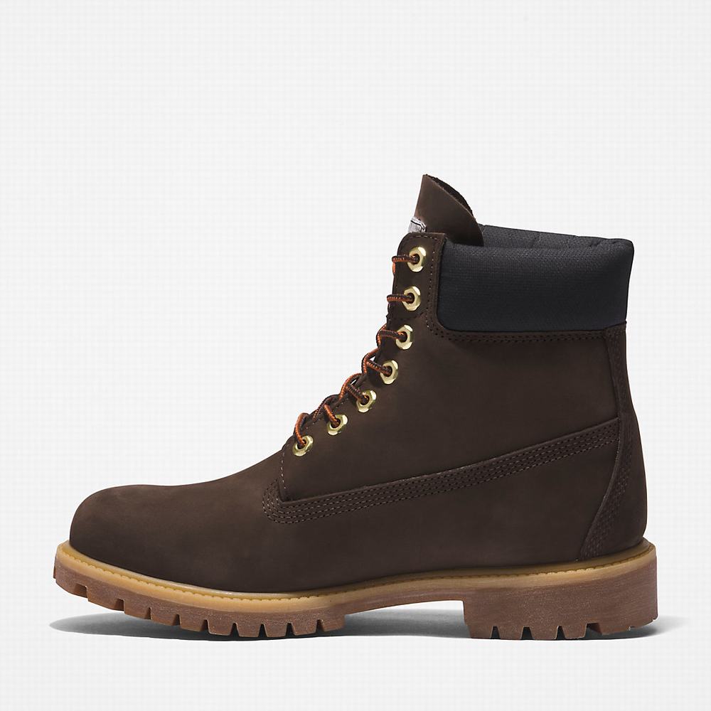 Pánské Zimní Boty Timberland Premium® 6 Inch Tmavě Hnědé | TI02389-869