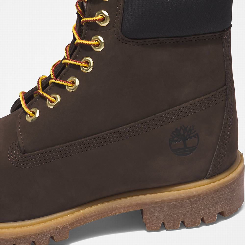 Pánské Zimní Boty Timberland Premium® 6 Inch Tmavě Hnědé | TI02389-869