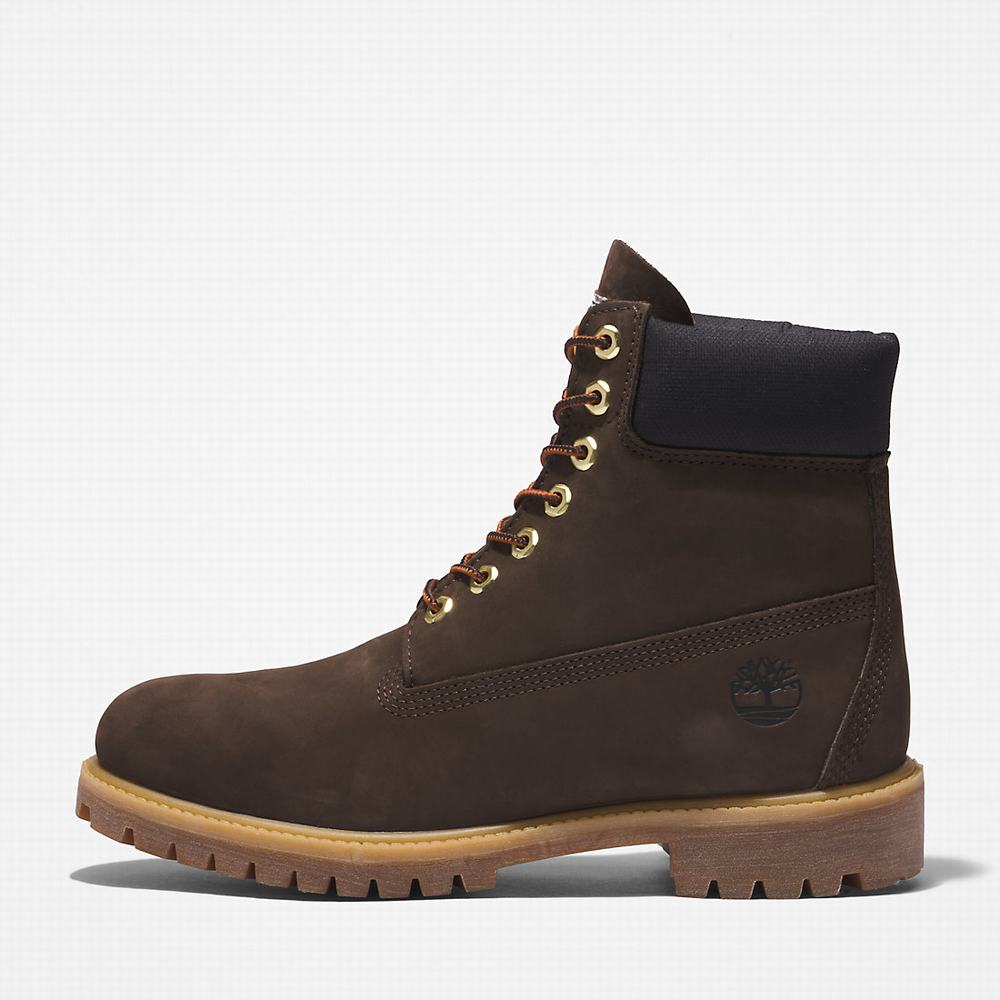 Pánské Zimní Boty Timberland Premium® 6 Inch Tmavě Hnědé | TI02389-869