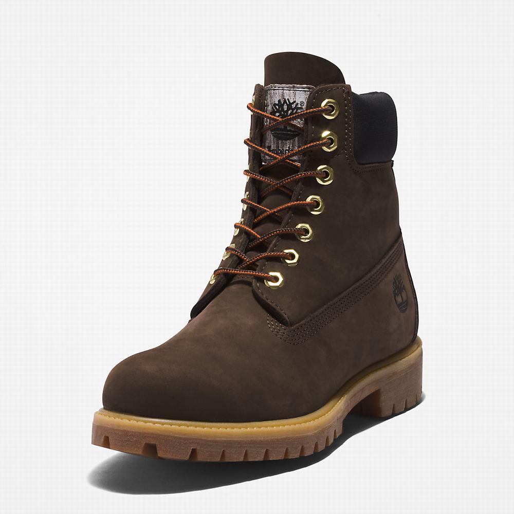 Pánské Zimní Boty Timberland Premium® 6 Inch Tmavě Hnědé | TI02389-869