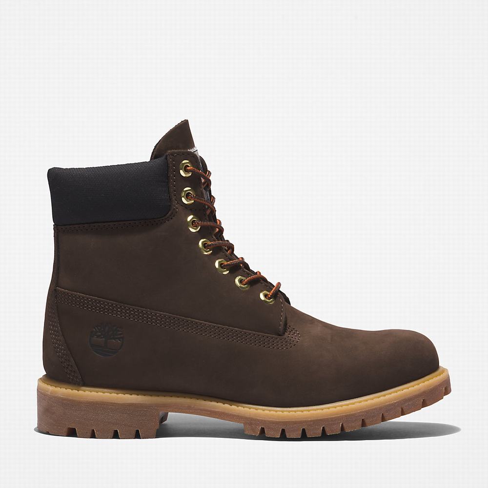 Pánské Zimní Boty Timberland Premium® 6 Inch Tmavě Hnědé | TI02389-869