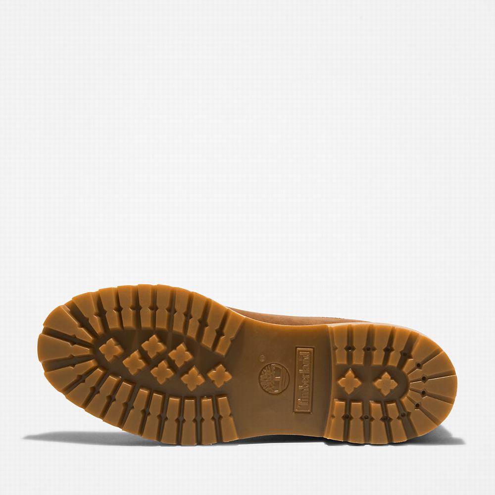 Pánské Zimní Boty Timberland Premium® 6 Inch Hnědé | TI15269-213