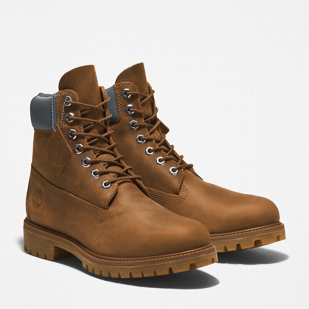 Pánské Zimní Boty Timberland Premium® 6 Inch Hnědé | TI15269-213