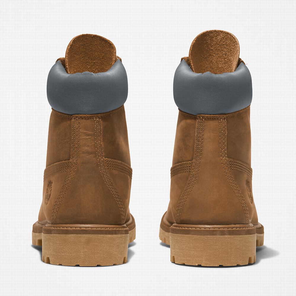 Pánské Zimní Boty Timberland Premium® 6 Inch Hnědé | TI15269-213
