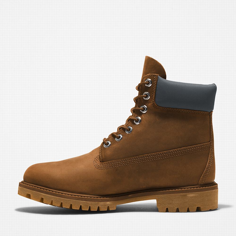 Pánské Zimní Boty Timberland Premium® 6 Inch Hnědé | TI15269-213