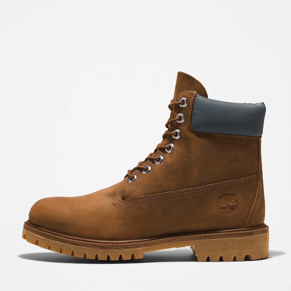 Pánské Zimní Boty Timberland Premium® 6 Inch Hnědé | TI15269-213