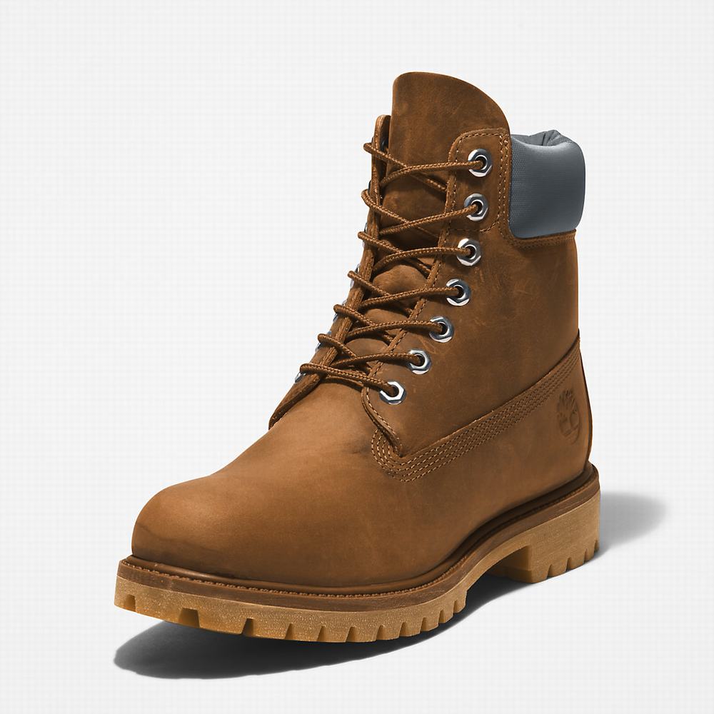 Pánské Zimní Boty Timberland Premium® 6 Inch Hnědé | TI15269-213
