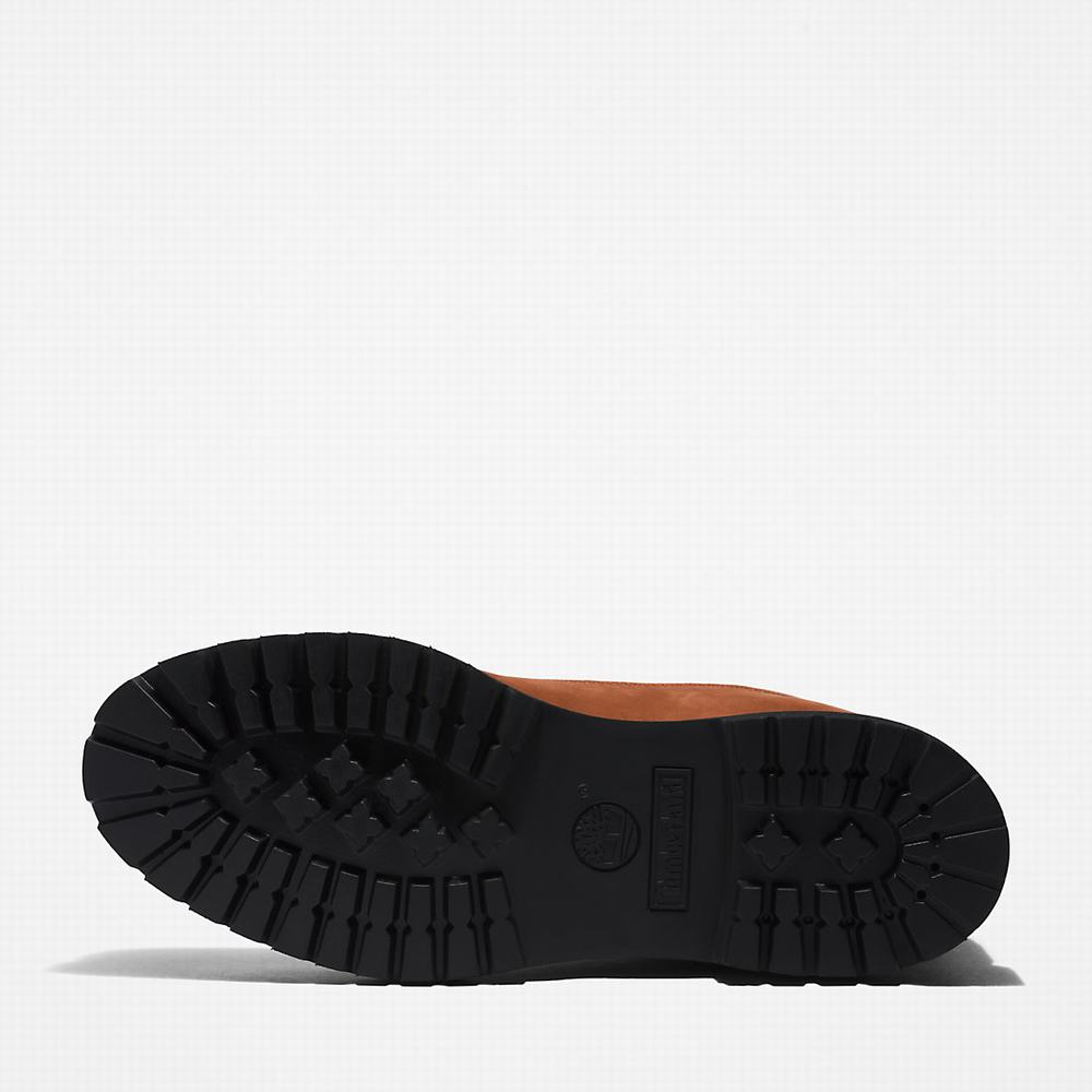 Pánské Zimní Boty Timberland Premium® 6 Inch Světle Hnědé | TI26391-198