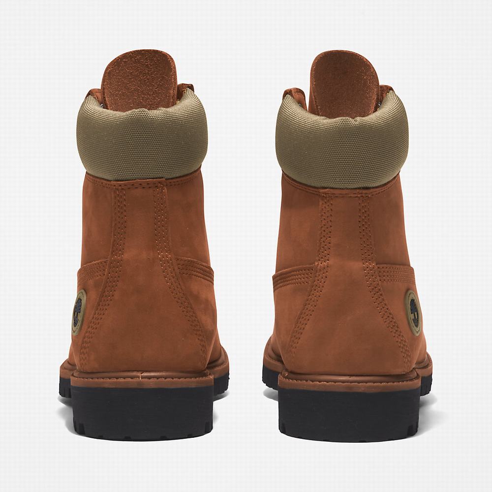 Pánské Zimní Boty Timberland Premium® 6 Inch Světle Hnědé | TI26391-198