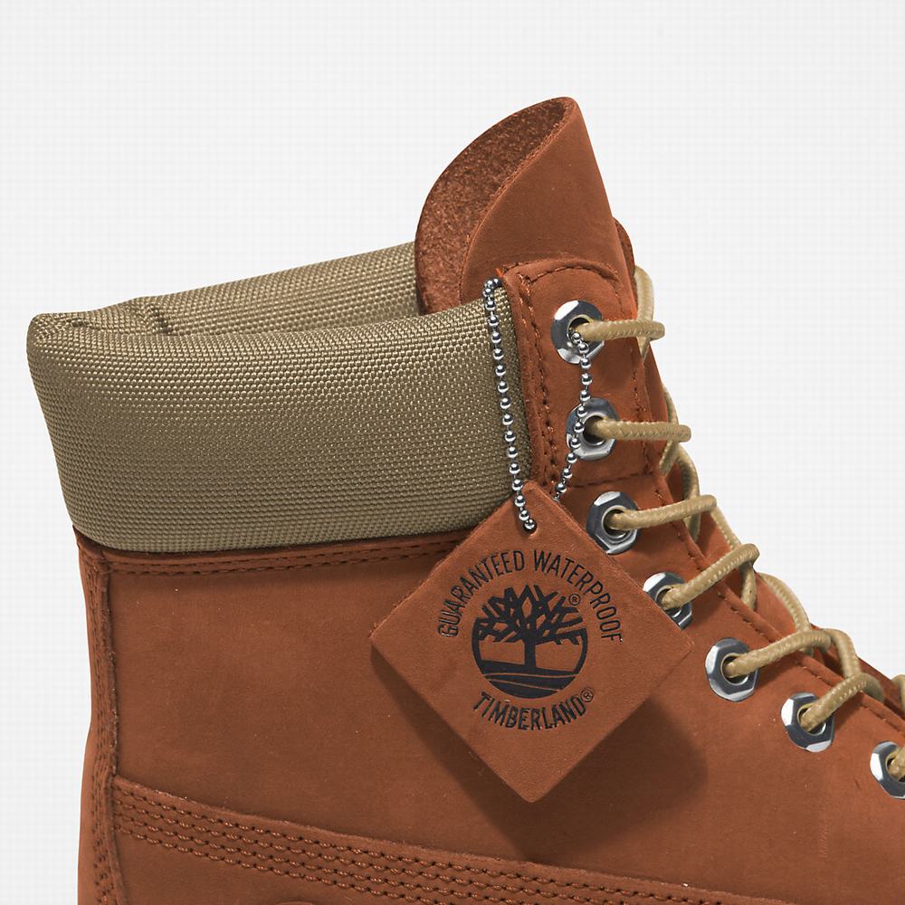 Pánské Zimní Boty Timberland Premium® 6 Inch Světle Hnědé | TI26391-198