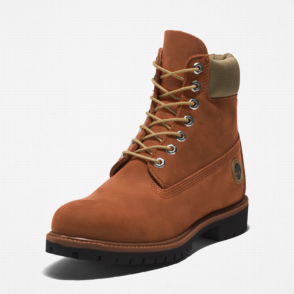 Pánské Zimní Boty Timberland Premium® 6 Inch Světle Hnědé | TI26391-198
