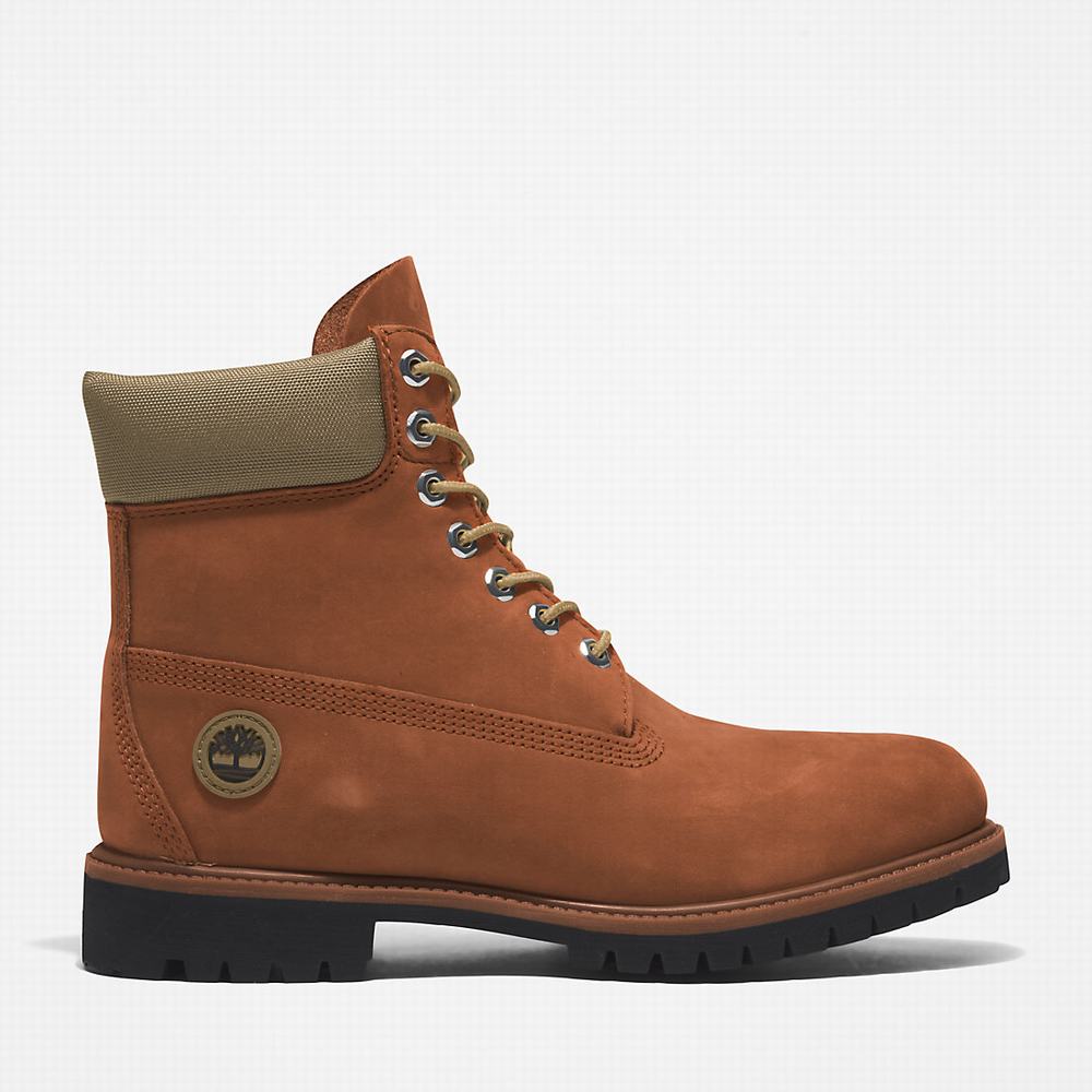 Pánské Zimní Boty Timberland Premium® 6 Inch Světle Hnědé | TI26391-198