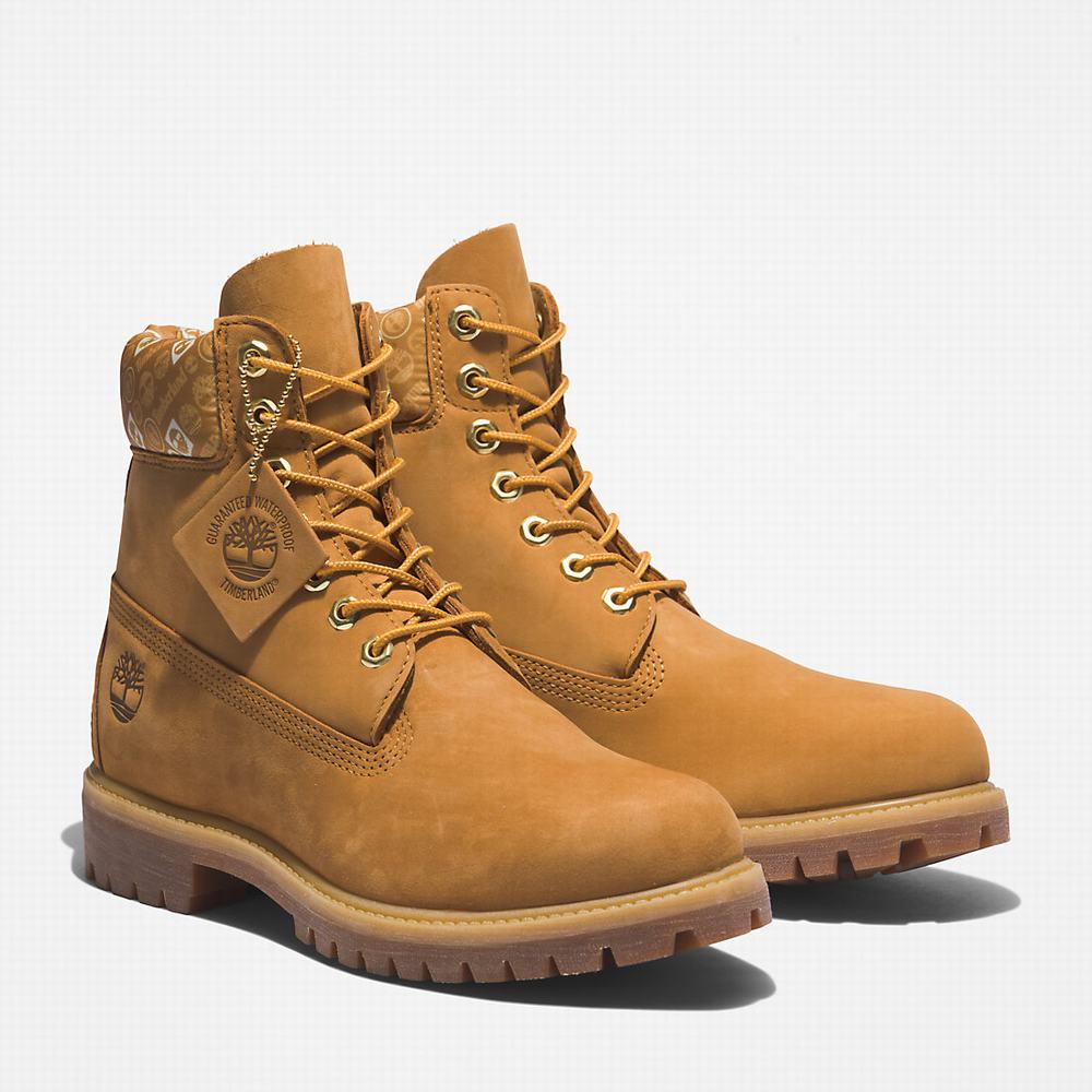 Pánské Zimní Boty Timberland Premium® 6 Inch Žluté Bílé | TI61309-623