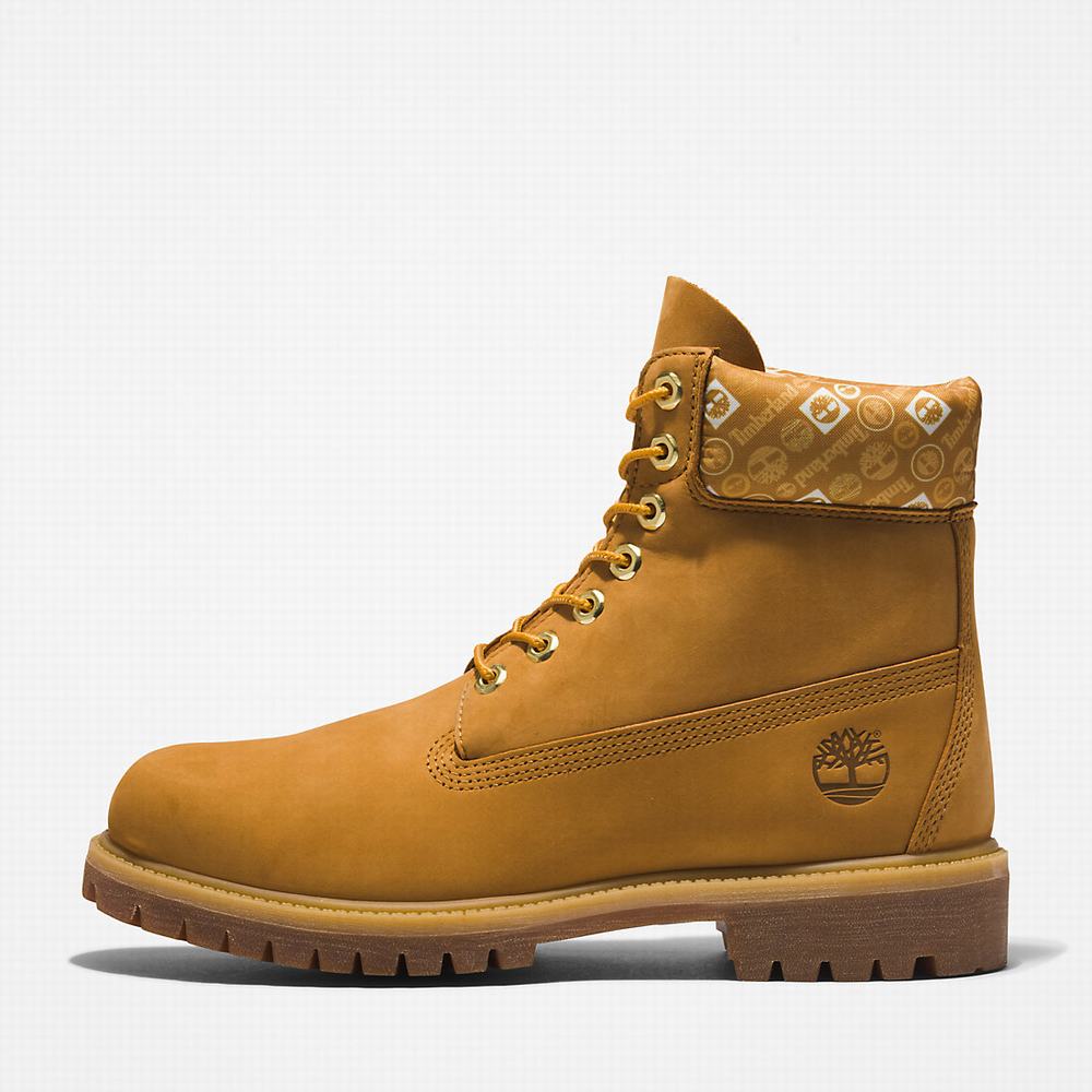 Pánské Zimní Boty Timberland Premium® 6 Inch Žluté Bílé | TI61309-623