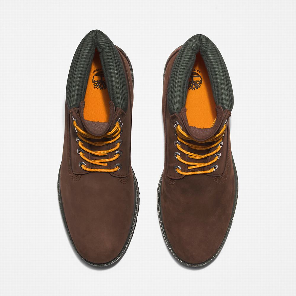 Pánské Zimní Boty Timberland Premium® 6 Inch Tmavě Hnědé | TI85769-468