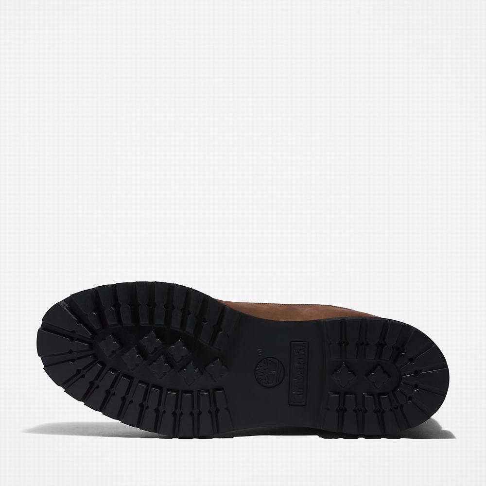 Pánské Zimní Boty Timberland Premium® 6 Inch Tmavě Hnědé | TI85769-468