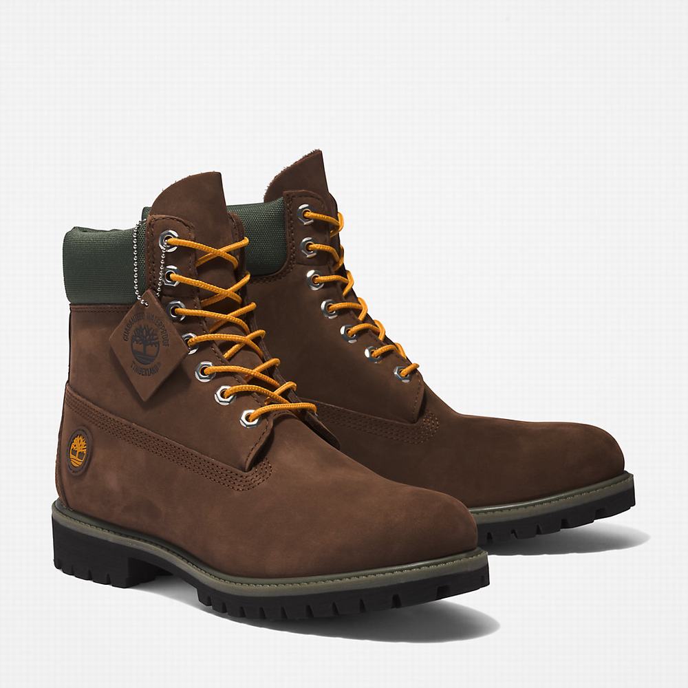 Pánské Zimní Boty Timberland Premium® 6 Inch Tmavě Hnědé | TI85769-468