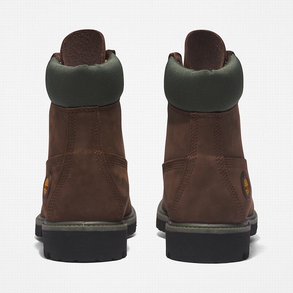 Pánské Zimní Boty Timberland Premium® 6 Inch Tmavě Hnědé | TI85769-468