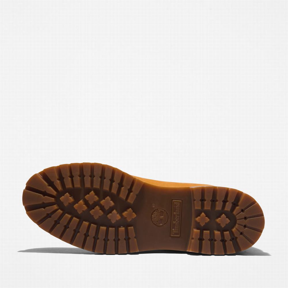 Pánské Zimní Boty Timberland Premium® 6 Inch Žluté Blankyt | TI96428-321