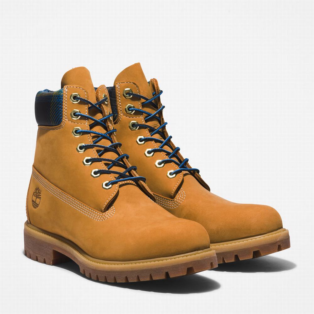 Pánské Zimní Boty Timberland Premium® 6 Inch Žluté Blankyt | TI96428-321