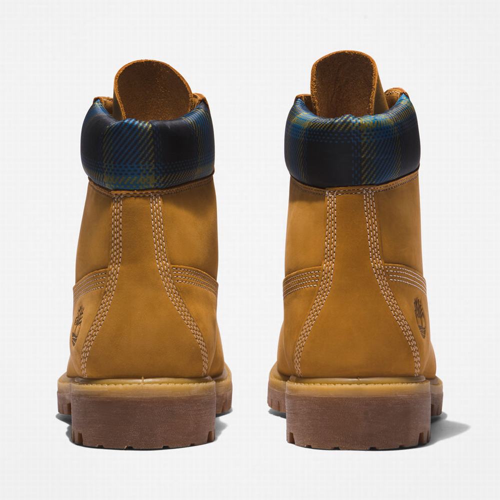 Pánské Zimní Boty Timberland Premium® 6 Inch Žluté Blankyt | TI96428-321