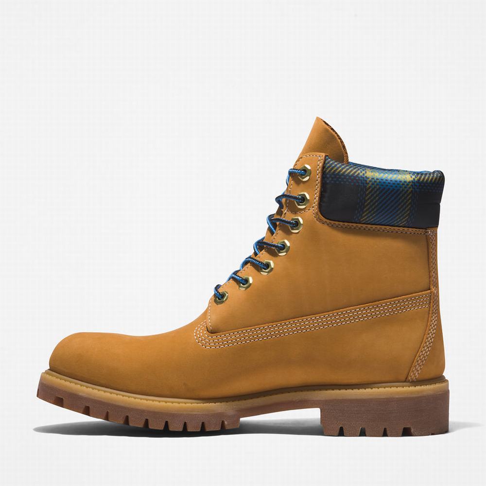 Pánské Zimní Boty Timberland Premium® 6 Inch Žluté Blankyt | TI96428-321