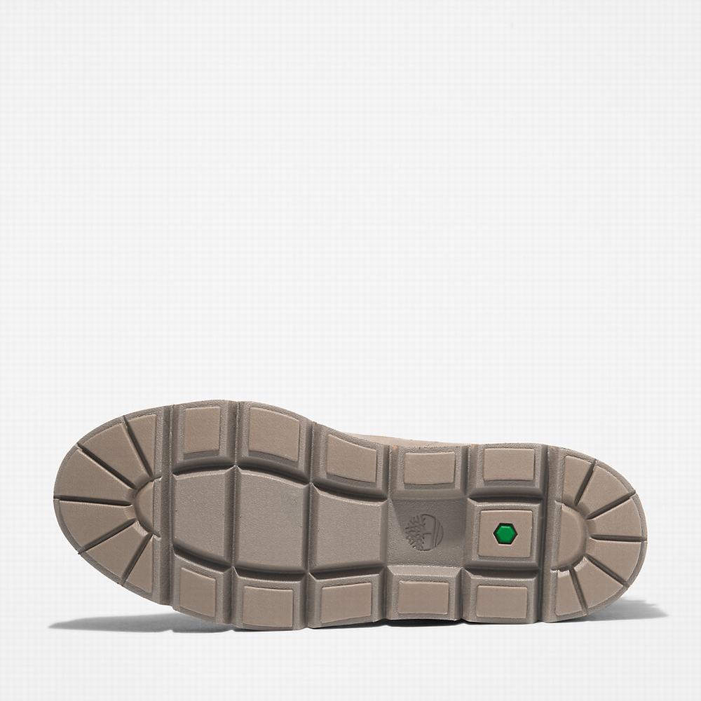 Pánské Zimní Boty Timberland Raywood Béžový | TI18237-287