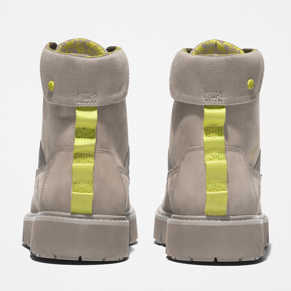 Pánské Zimní Boty Timberland Raywood Béžový | TI18237-287