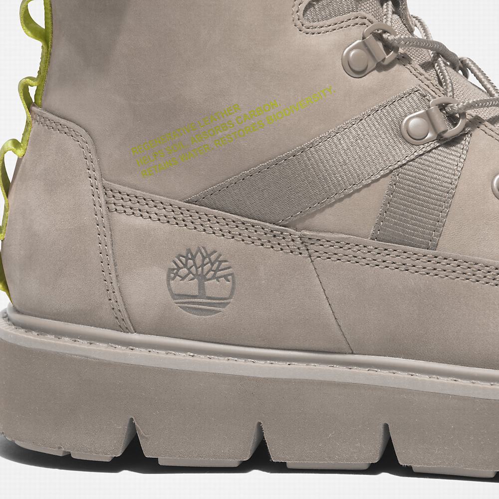 Pánské Zimní Boty Timberland Raywood Béžový | TI18237-287