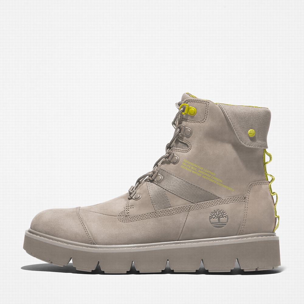Pánské Zimní Boty Timberland Raywood Béžový | TI18237-287