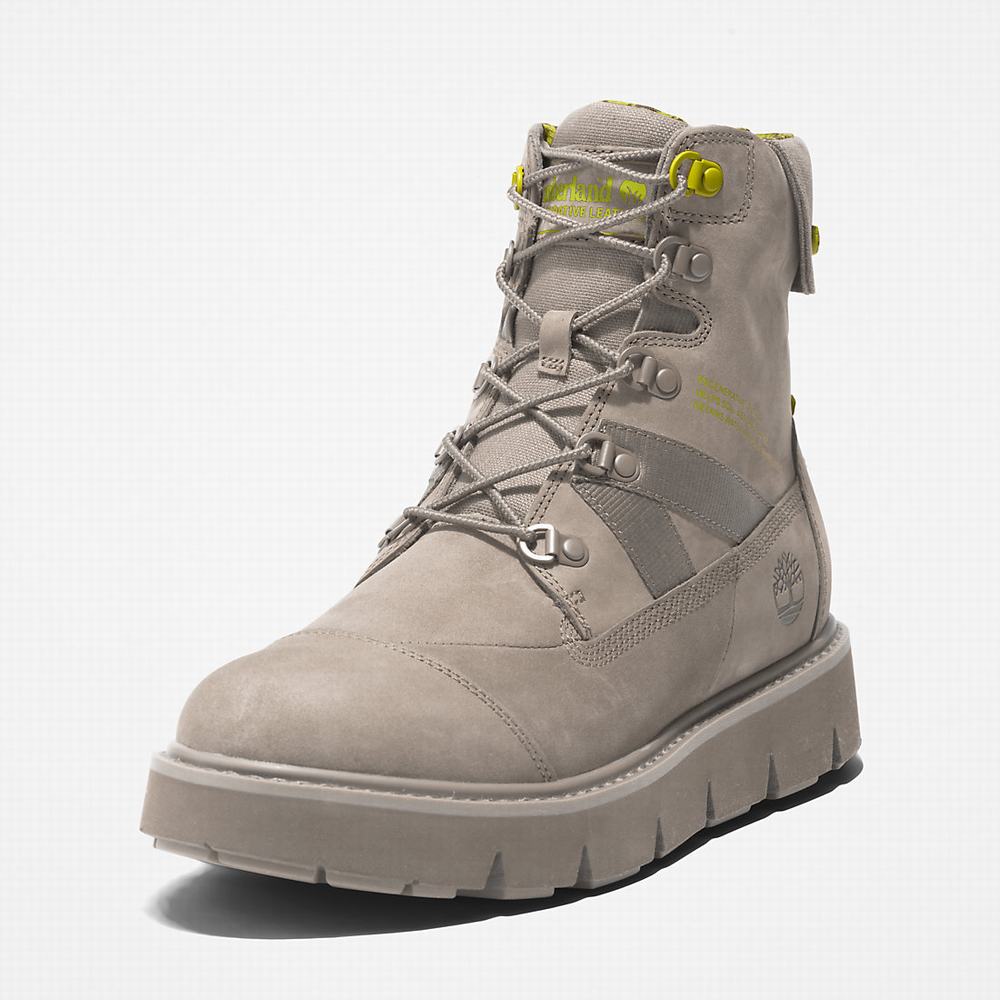 Pánské Zimní Boty Timberland Raywood Béžový | TI18237-287