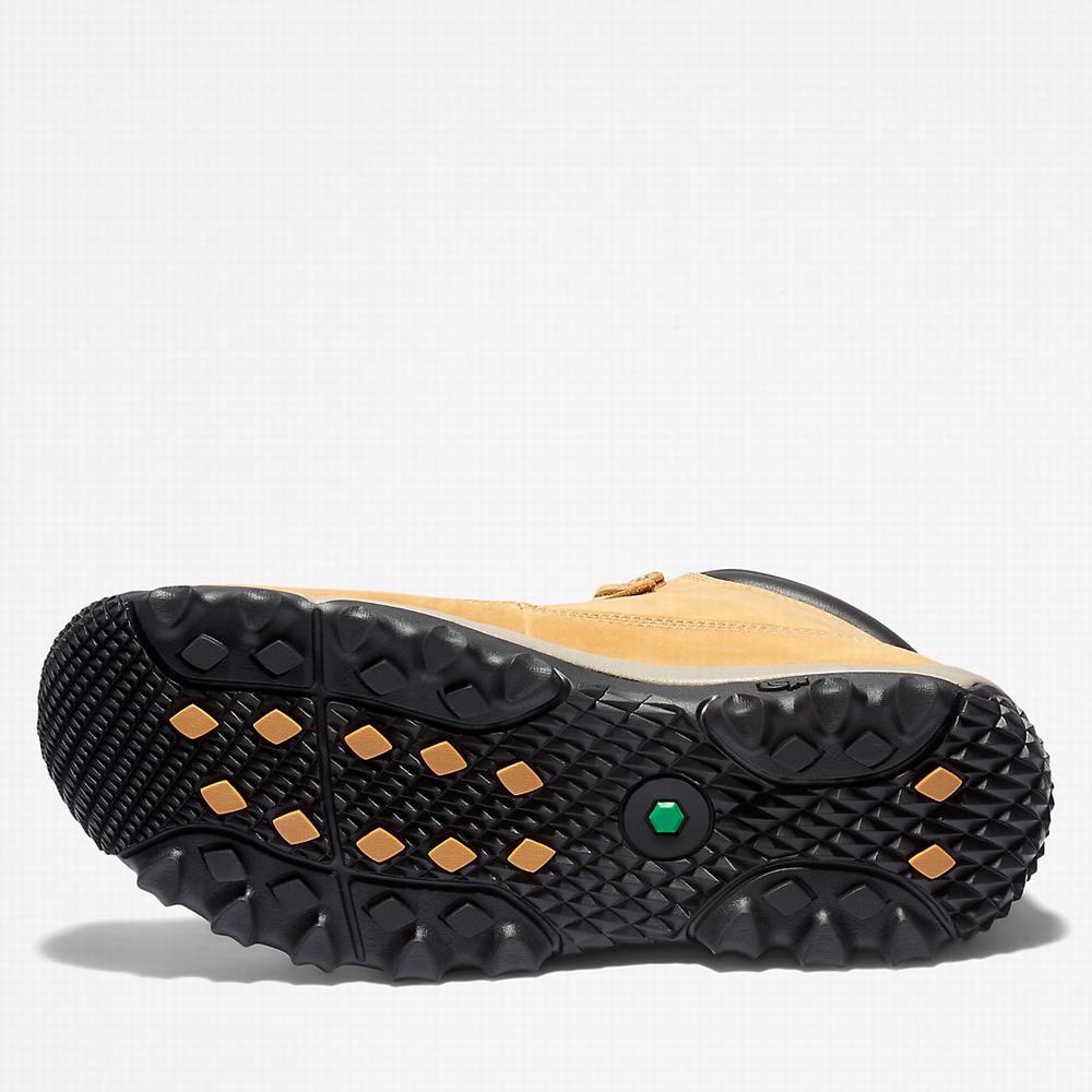 Pánské Zimní Boty Timberland Rime Ridge Mid Žluté | TI57321-649